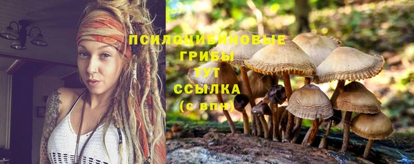 бошки Алзамай