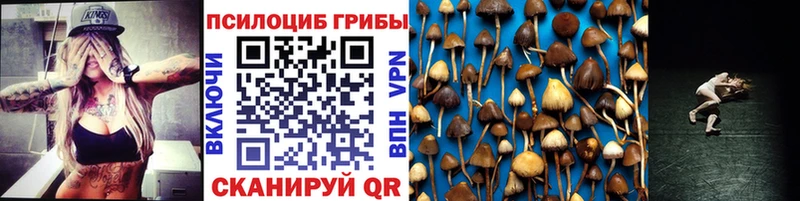 Псилоцибиновые грибы MAGIC MUSHROOMS Ковылкино